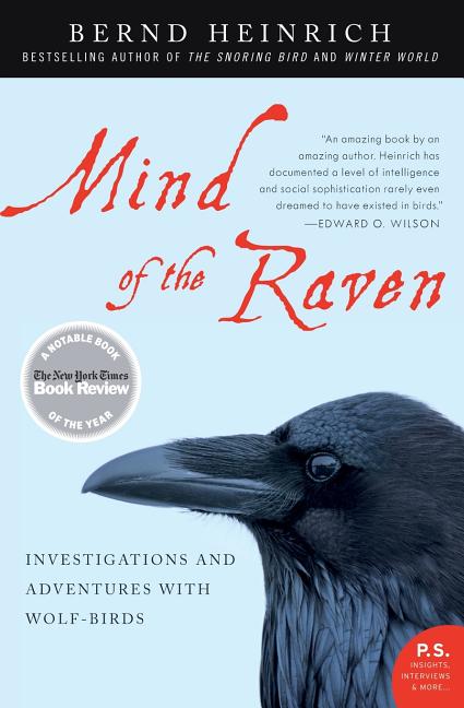 Item #437834 Mind of the Raven: Investigations and Adventures with Wolf-Birds. Bernd Heinrich