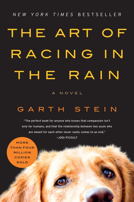 Item #348032 The Art of Racing in the Rain: A Novel. Garth Stein