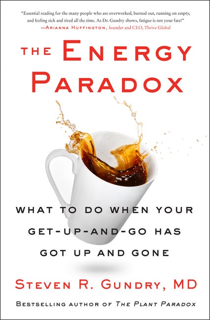 Item #344100 The Energy Paradox: What to Do When Your Get-Up-and-Go Has Got Up and Gone (The...