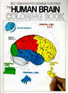 Item #342063 The Human Brain Coloring Book (Coloring Concepts). Marian C. Diamond, Arnold B., Scheibel.