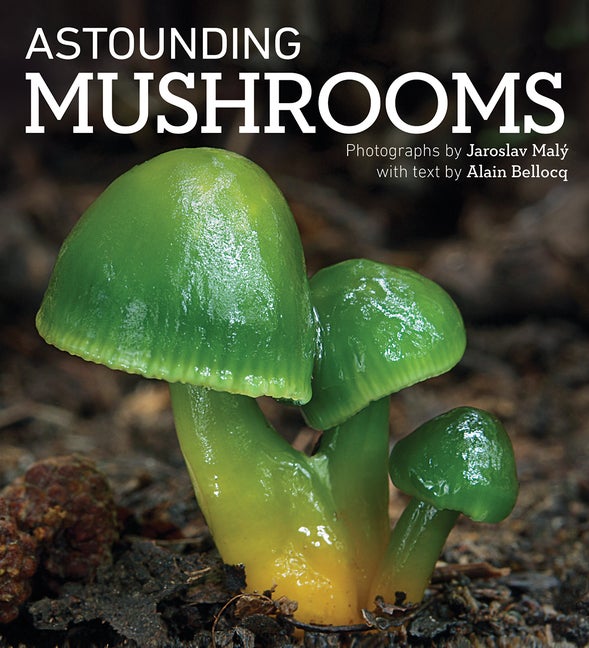 Item #313712 Astounding Mushrooms. Alain Bellocq