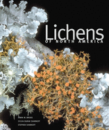 Item #356393 Lichens of North America. Irwin M. Brodo, Sylvia Duran Sharnoff, Stephen Sharnoff