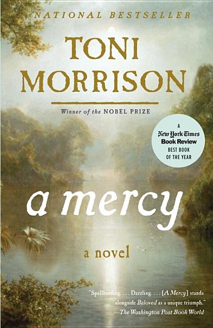 Item #333572 A Mercy (Vintage International). Toni Morrison