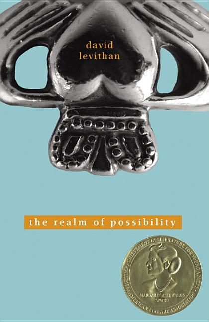 Item #175372 The Realm of Possibility. David Levithan