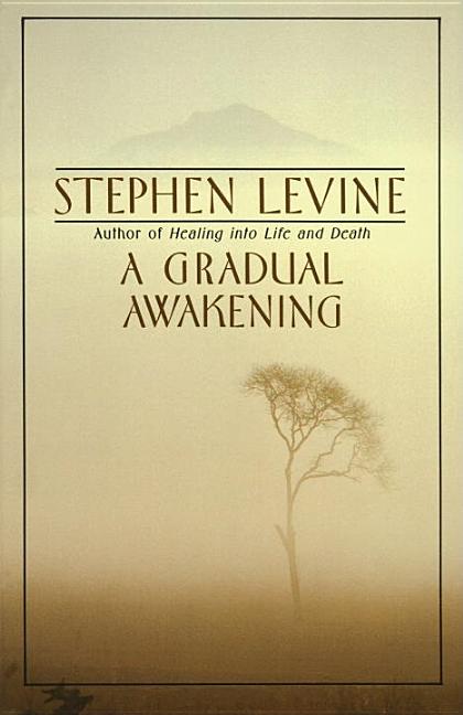 Item #147515 A Gradual Awakening. Stephen Levine