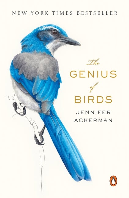Item #352875 The Genius of Birds. Jennifer Ackerman