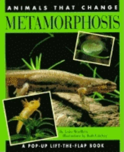 Item #209389 Metamorphosis: Animals that Change (Lift-the-Flap). Luise Woelflein