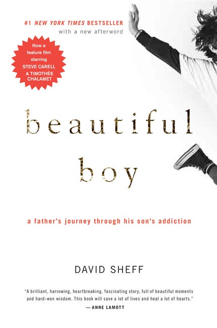 Item #226965 Beautiful Boy: A Father's Journey Through His Son's Addiction. David Sheff