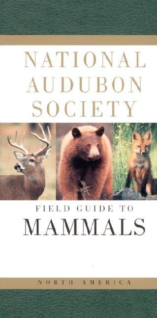 Item #344314 National Audubon Society Field Guide to North American Mammals (National Audubon...