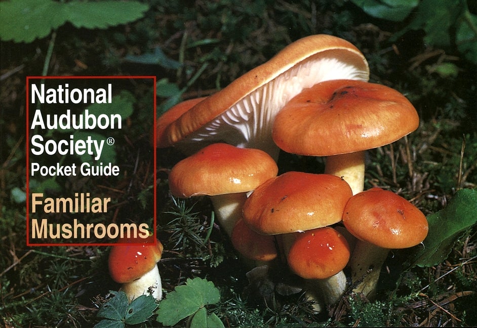 Item #335653 National Audubon Society Pocket Guide to Familiar Mushrooms. NATIONAL AUDUBON SOCIETY