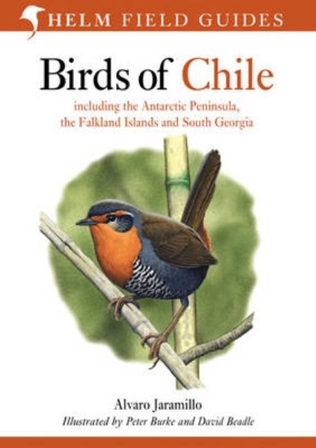 Item #338238 Field Guide to the Birds of Chile. Alvaro Jaramillo