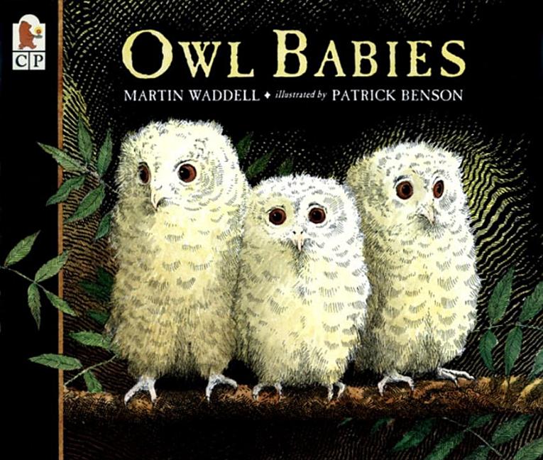 Item #312184 Owl Babies. Martin Waddell