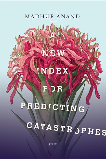 Item #305727 A New Index for Predicting Catastrophes. Madhur Anand