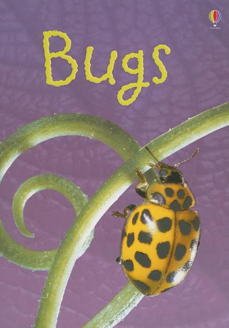 Item #256493 Bugs (Usborne Beginners). Lucy Bowman