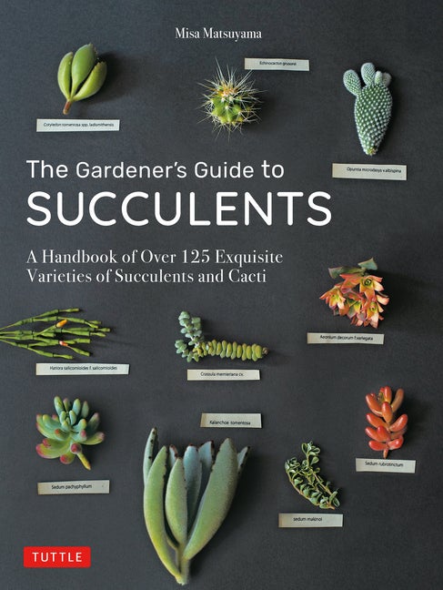 Item #335819 The Gardener's Guide to Succulents: A Handbook of Over 125 Exquisite Varieties of...