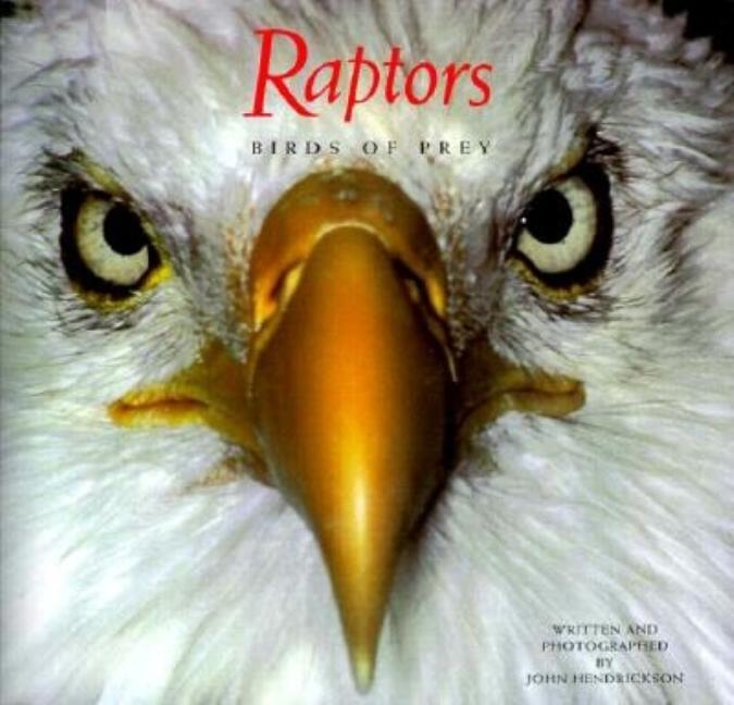 Item #198530 Raptors: Birds of Prey. John Hendrickson