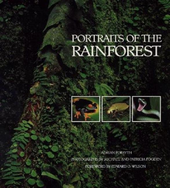 Item #329682 Portraits of the Rainforest. Adrian Forsyth