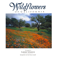Item #350536 Wildflowers of California. Susan Lamb