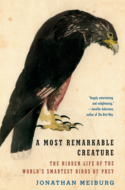 Item #333002 A Most Remarkable Creature: The Hidden Life of the World's Smartest Birds of Prey....