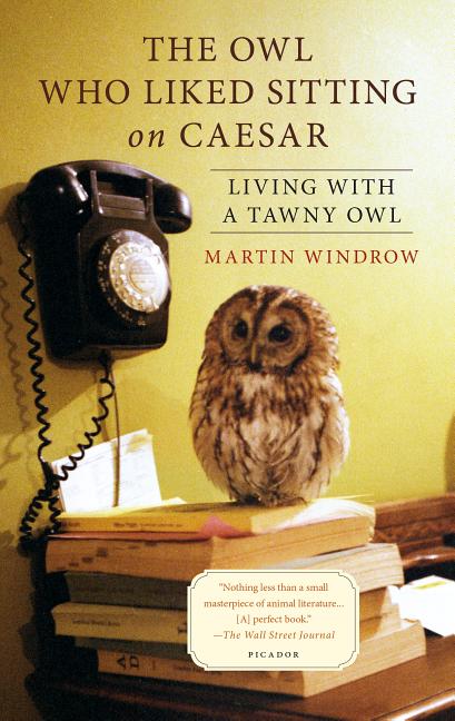 Item #174716 The Owl Who Liked Sitting on Caesar: Living with a Tawny Owl. Martin Windrow