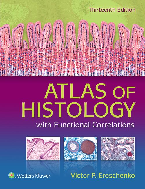 Item #285436 Atlas of Histology with Functional Correlations. Victor P. Eroschenko