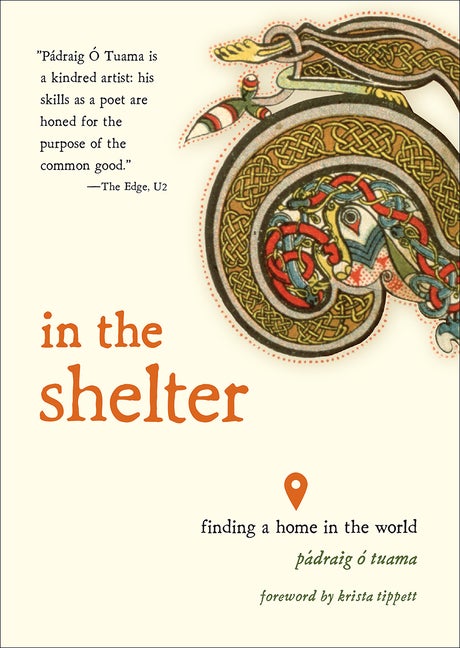 Item #311569 In the Shelter: Finding a Home in the World. Pádraig Ó Tuama