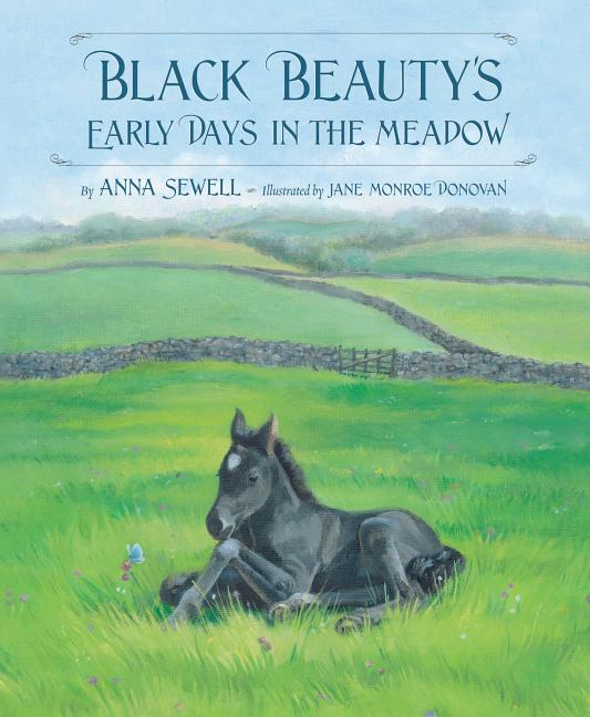 Item #349598 Black Beauty's Early Days in the Meadow (Classic Picture Books). Anna Sewell