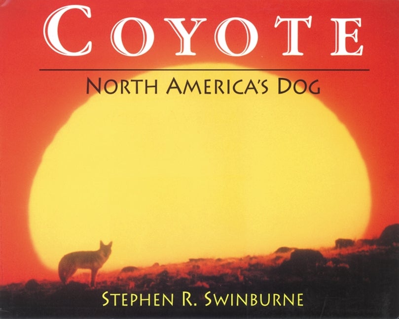Item #266496 Coyote: North America's Dog. Stephen R. Swinburne