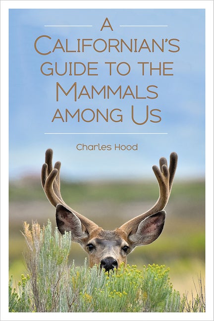 Item #325685 A Californian's Guide to the Mammals among Us. Charles Hood