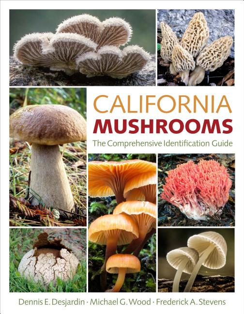 Item #323447 California Mushrooms: The Comprehensive Identification Guide. Dennis E. Desjardin,...