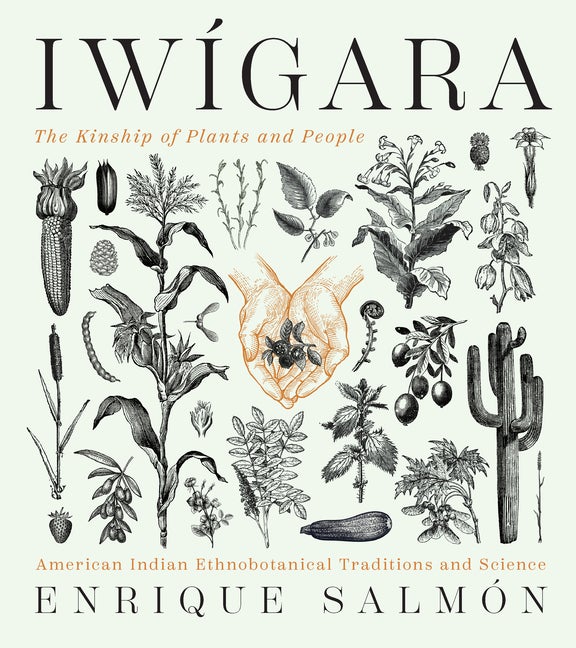 Item #347890 Iwígara: American Indian Ethnobotanical Traditions and Science. Enrique Salmón