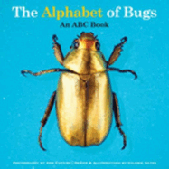Item #349179 The Alphabet of Bugs: An ABC Book. Valerie Gates
