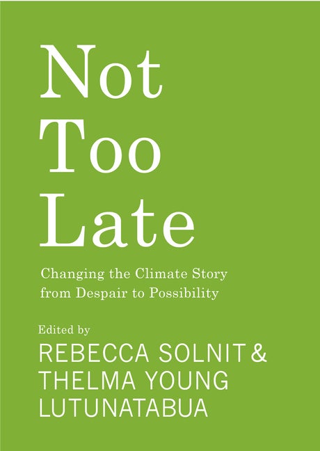 Item #337868 Not Too Late: Changing the Climate Story from Despair to Possibility. Rebecca Solnit