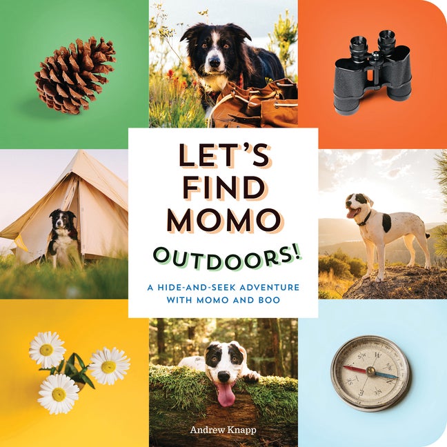 Item #339517 Let's Find Momo Outdoors!: A Hide-and-Seek Adventure with Momo and Boo. Andrew Knapp