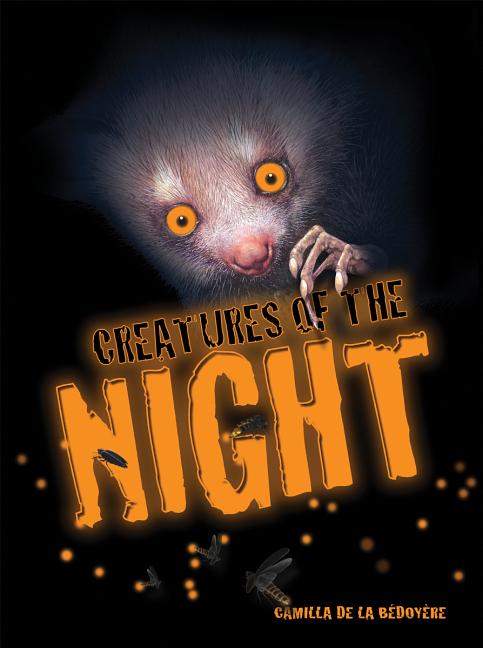 Item #276158 Creatures of the Night. Camilla Bedoyere
