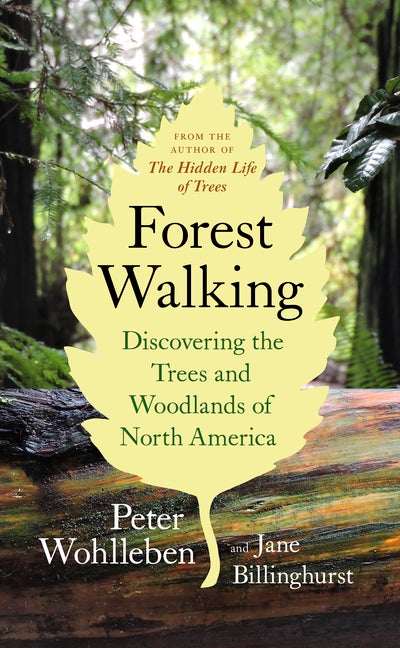 Item #348059 Forest Walking: Discovering the Trees and Woodlands of North America. Peter...