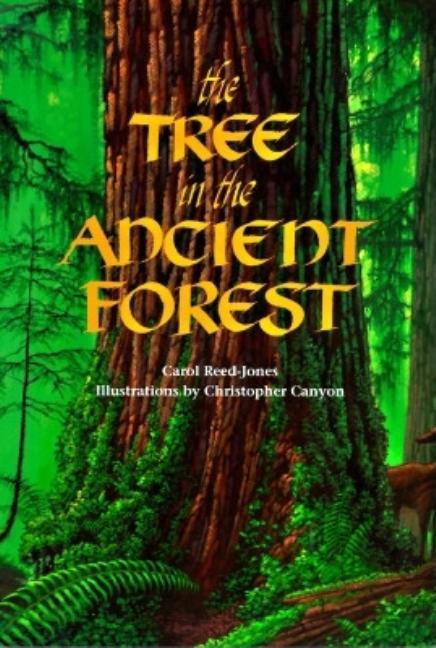 Item #439868 Tree in the Ancient Forest. CAROL REED-JONES, CHRISTOPHER, CANYON