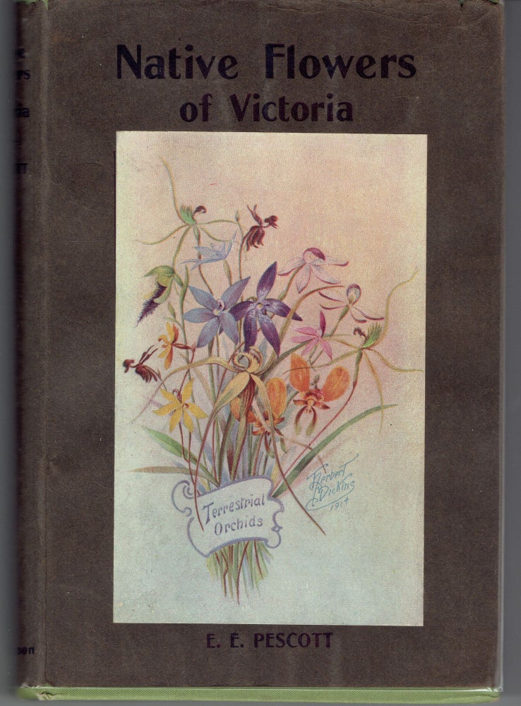 Item #263030 Native Flowers Of Victoria. Edward Edgar Pescott.