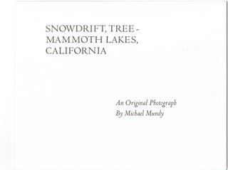 Item #264766 Snowdrift, Tree -- Mammoth Lakes, California (Original photograph). Michael Mundy