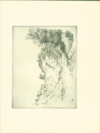 Item #271701 Lellinge (Parish, Denmark) (etching). K. V. de Fine Licht