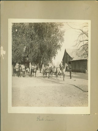 Item #274639 Pack Train (photograph) (?Eden Valley, Colorado