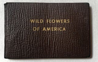 Item #353791 Wild Flowers of America. Jane Harvey, Irving Lawson