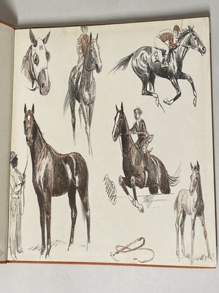 Black, Bay and Chestnut: Profiles of Twenty Favorite Horses