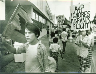 Item #51581 United Farm Workers March on A&P Store--Miami (B/W photograph, 1973). Marlin Levison